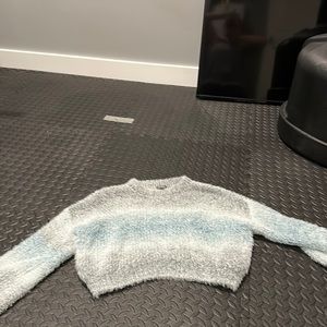 Wild Fable Cropped Fuzzy Sweater